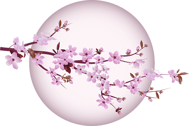 桜