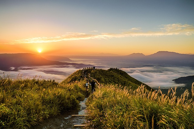 山