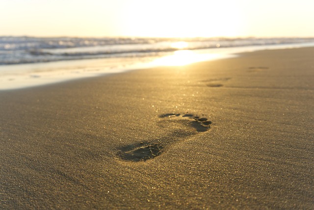 海